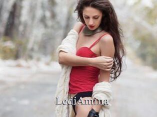 LediAmina