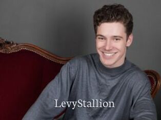 LevyStallion