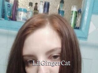 LilGingerCat