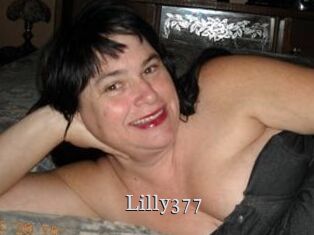 Lilly377