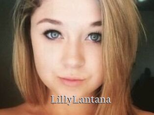 LillyLantana