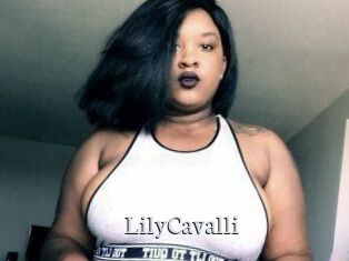 Lily_Cavalli