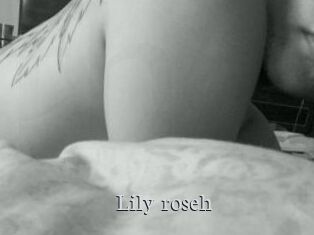Lily_roseh