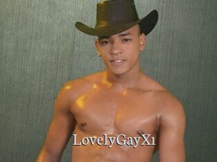 LovelyGayX1