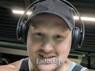 ladbod36 Free Host Empire