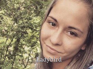 Ladybird