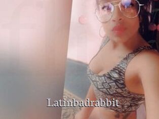 Latinbadrabbit
