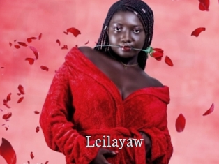 Leilayaw