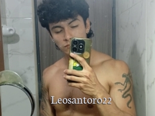 Leosantoro22