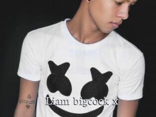 Liam_bigcock_x