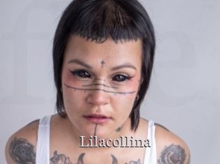 Lilacollina