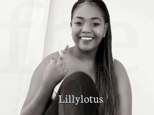 Lillylotus