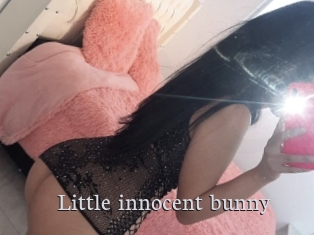Little_innocent_bunny