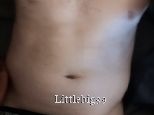 littlebig99 Free Host Empire