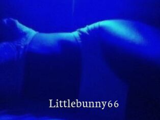 Littlebunny66
