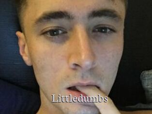 Littledumbs