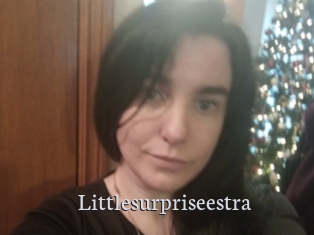 Littlesurpriseestra