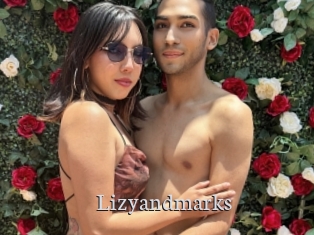 Lizyandmarks