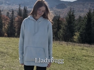 Lladybugg