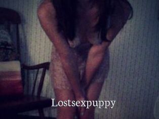 Lostsexpuppy