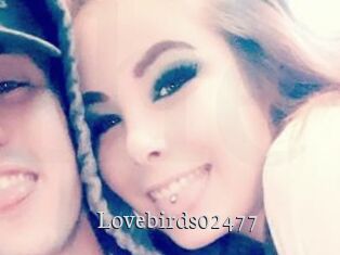 Lovebirds02477