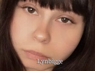 Lynbigge