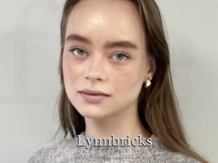 Lynnbricks