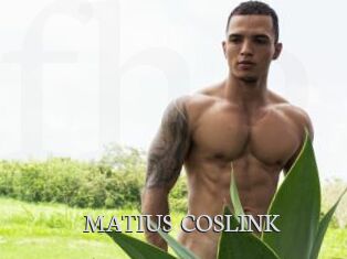 MATIUS_COSLINK