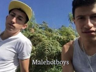 Malehotboys