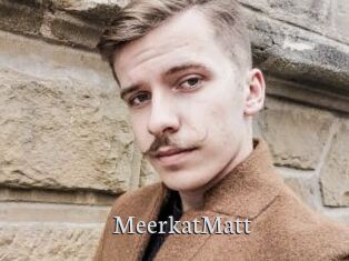 MeerkatMatt Free Host Empire