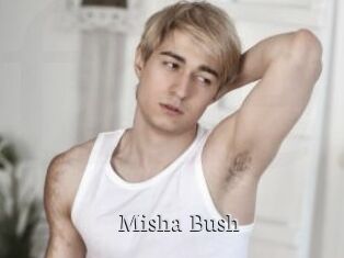 Misha_Bush