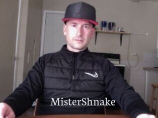 MisterShnake