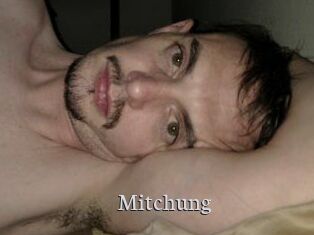 Mitchung Free Host Empire