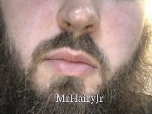 MrHairyJr