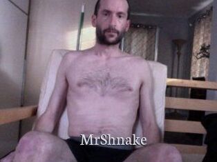 MrShnake