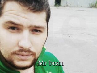 Mr_bear1