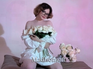 Madisonsoft