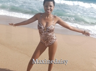 Maxinedaisy