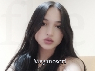 Meganosori