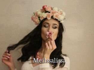 Meilssalissa