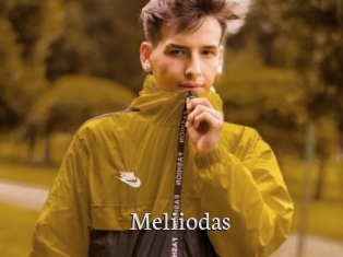 Meliiodas