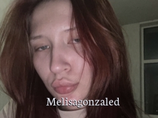 Melisagonzaled