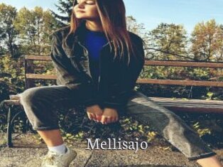 Mellisajo