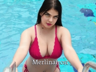 Merlinafrost
