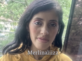 Merlinaliizz