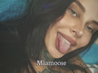 Miamoose