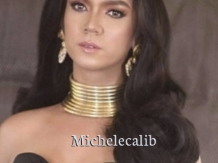 Michelecalib