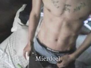 Mierdoel