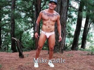 Mike_castle