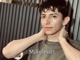 Mikesmart